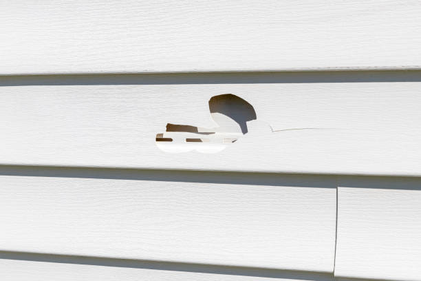 Best Demolition Debris Removal  in Grissom Af, IN